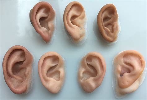 bag of fake ears|realistic ear prosthesis.